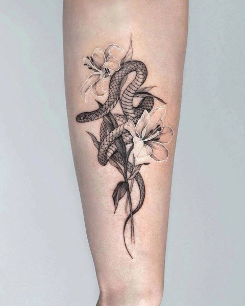 IMG 20260125 185534 000