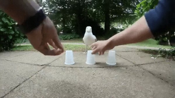 IMG 20161020 210350 41