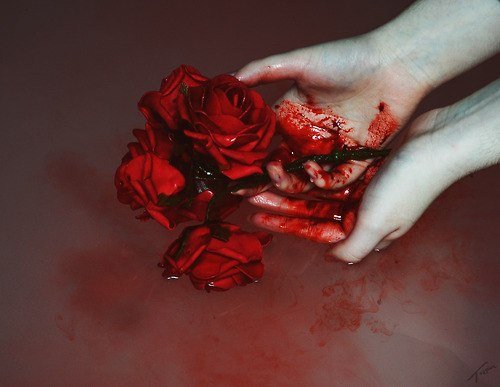 Rose (1)