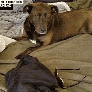 d0bfd0bed0b4d0b1d0bed180d0bad0b0-d0b3d0b8d184d0bed0ba-05-01