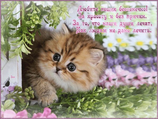 file_92901466