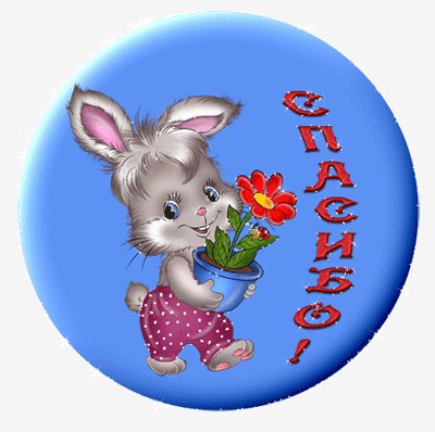 Спасибо от кролика