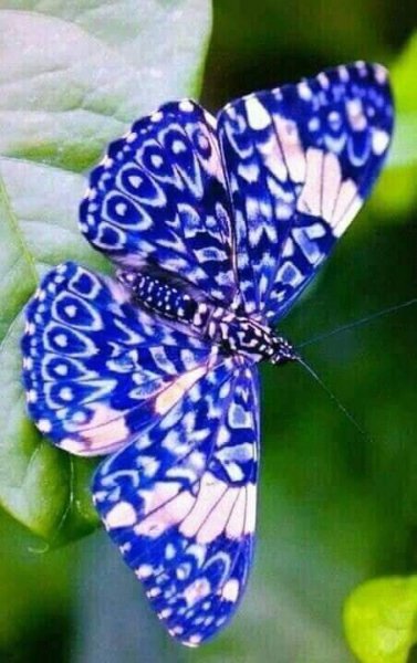 FB IMG 1716043758489