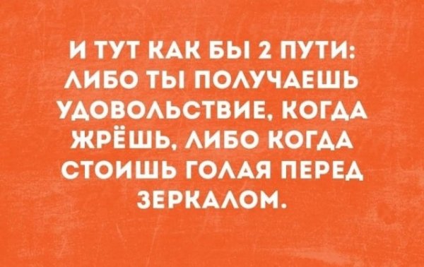 file_101904652