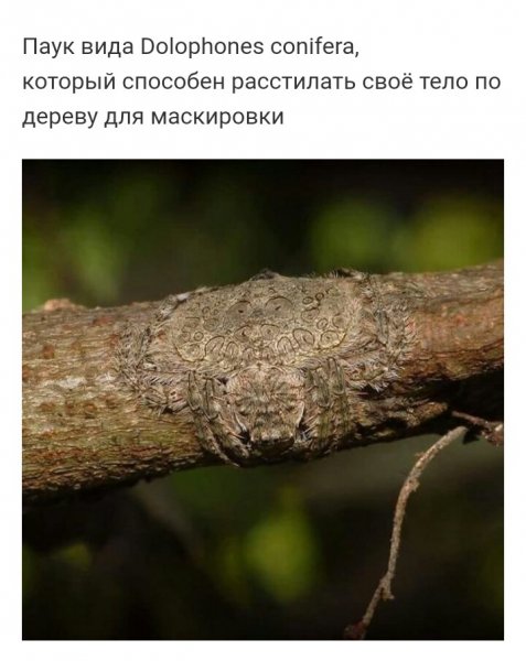 не хуже фильмов ужасов