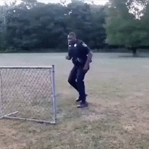 Способы преодоления забора)