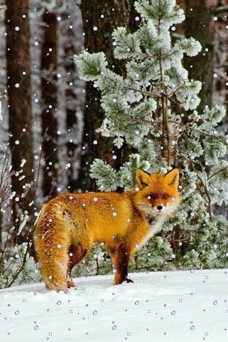 file_75888769