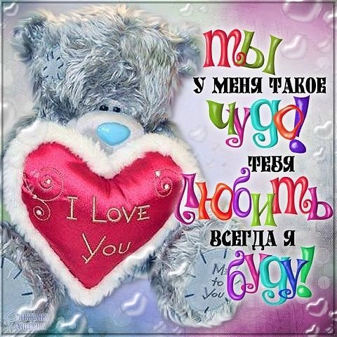 IMG 20160213 160530 9