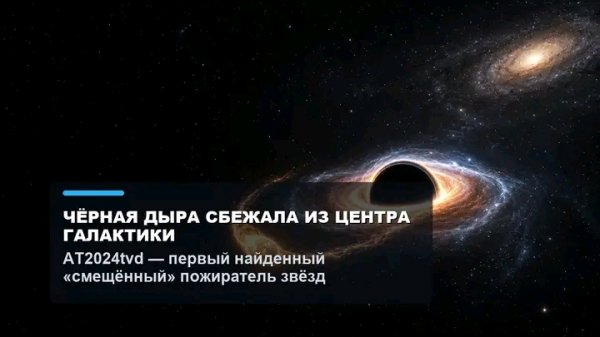 file_103268150