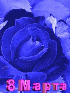 file_61828165