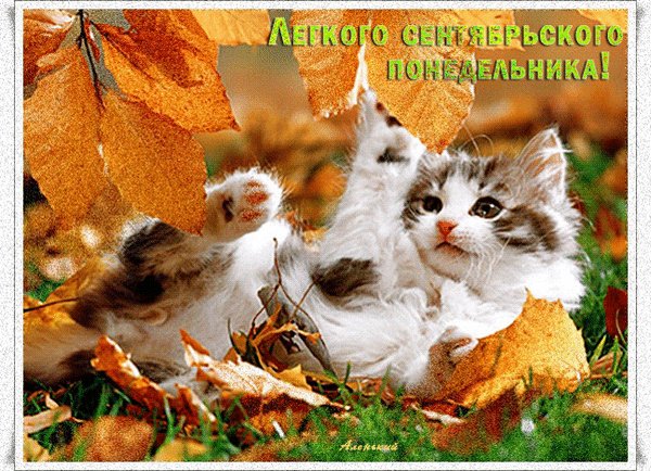 Doc397708723 644652106