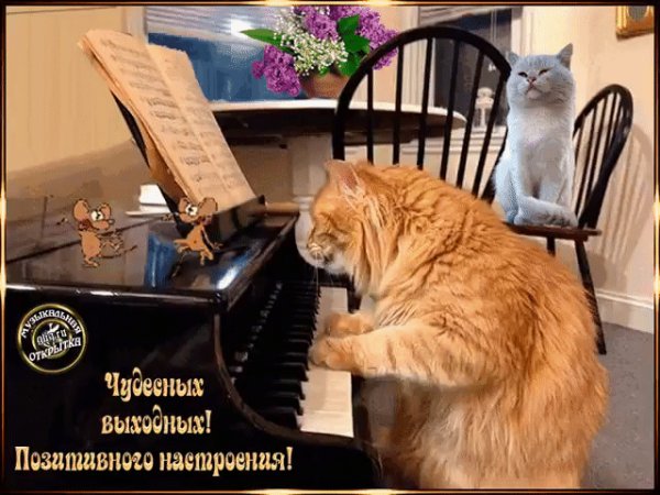 чудесных выходных!