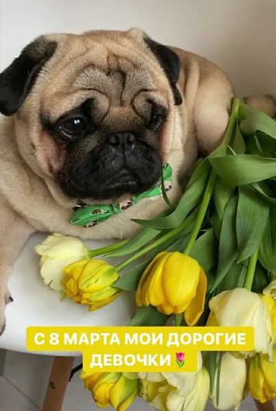 file_89899908