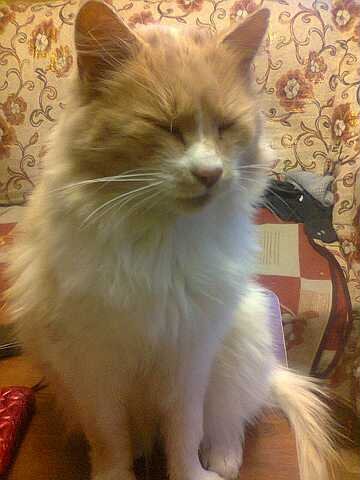 Красотуля (2)