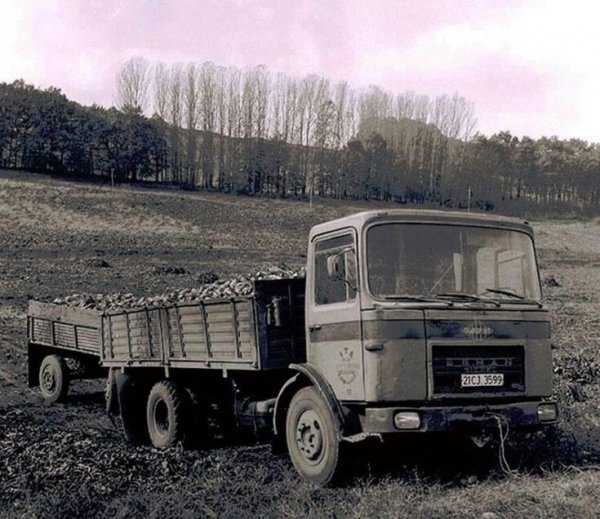 ROMAN R 8.135F