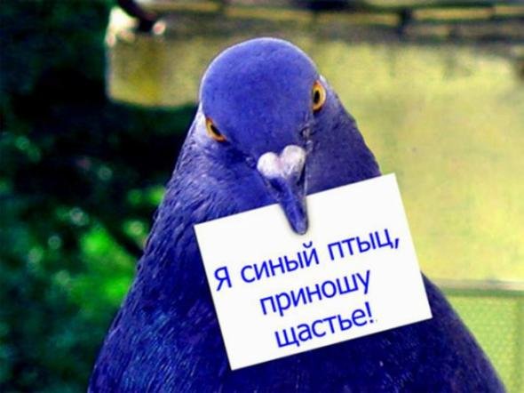 Счастье14