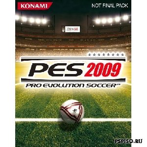 PES 2009 176x220
