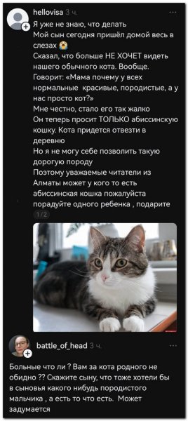 Не породистый