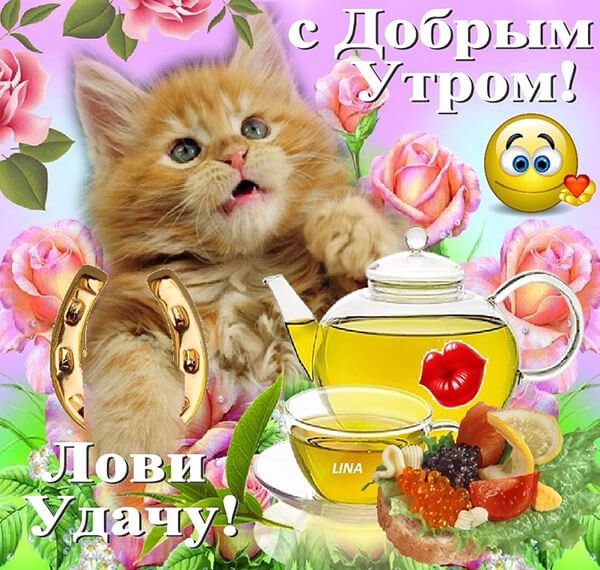 IMG 20190626 226749