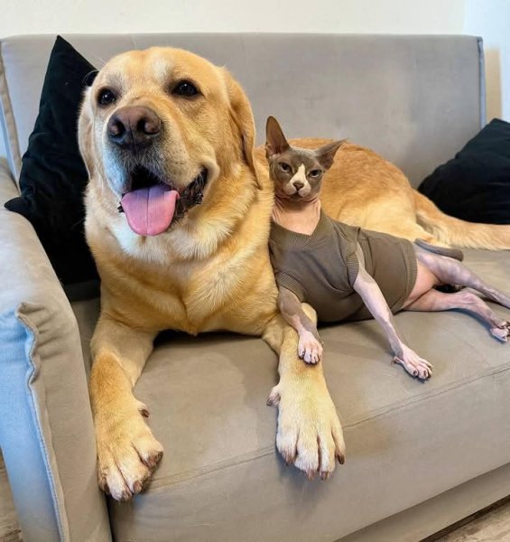 FB IMG 1746813695088