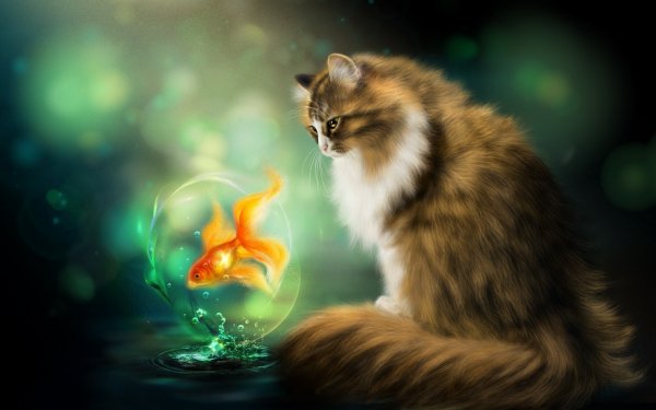 image(22)