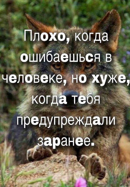 IMG 20191212 000655