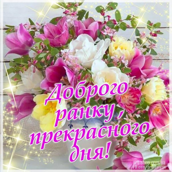 IMG 20190106 839058