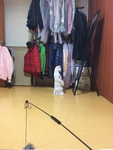 FB IMG 1776446868252