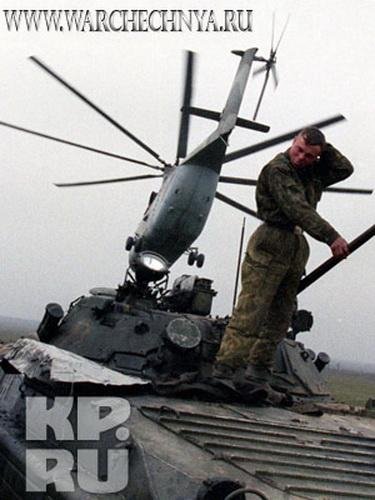 Чечня червленая