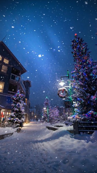 4K-Winter-413