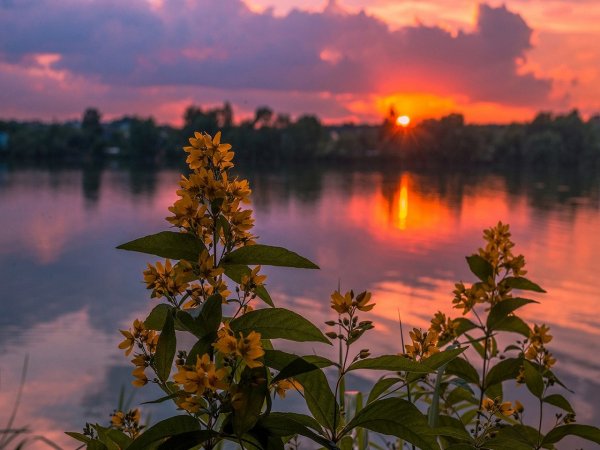 уходящий август