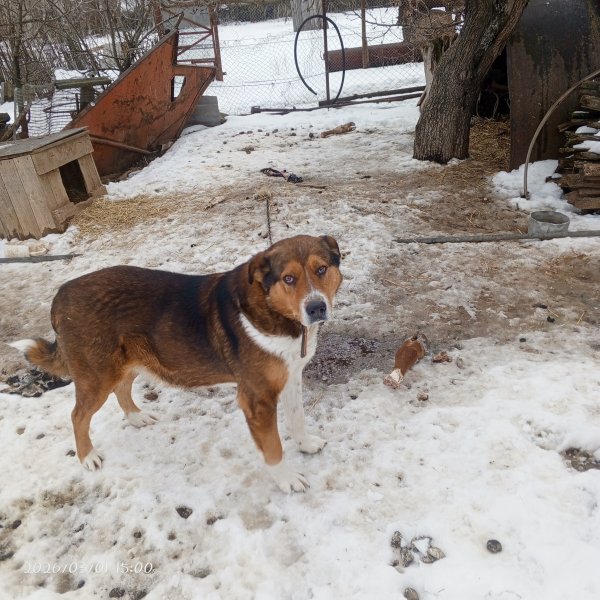 IMG 20260301 150042 350