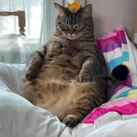 Вася изображает голодный обморок