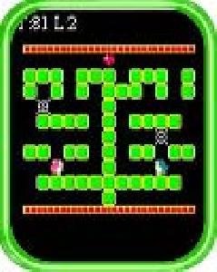 binary land