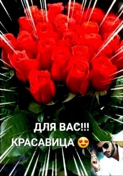 IMG 20241209 084108