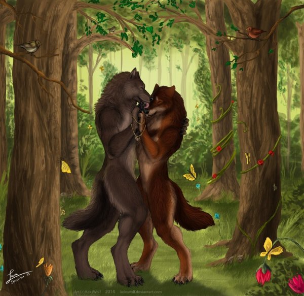 -furry-furry-art-kekswolf-1734933