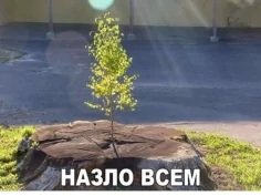 p.236.236.0