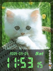 Catty