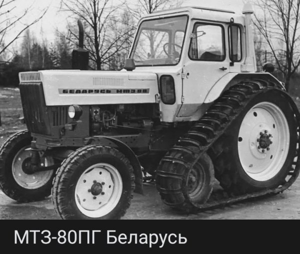file_100660821