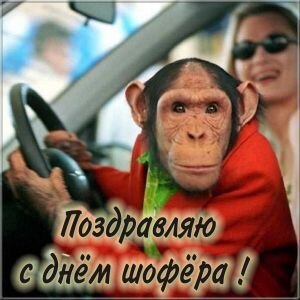 Открытка поздравляю с днем шофёра