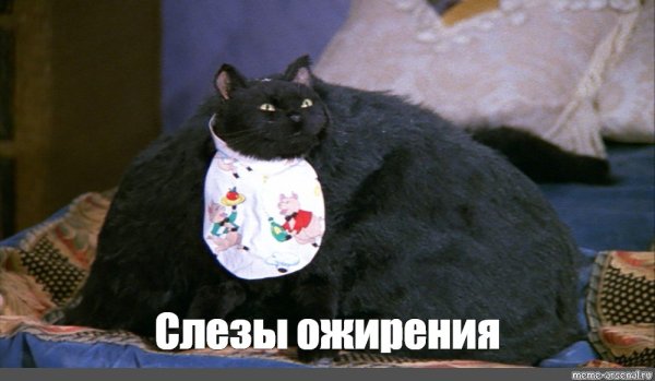 4d26fd75aa9543f41fe3add98db7de11