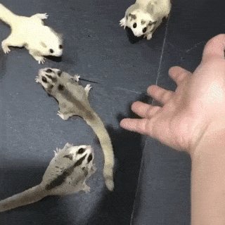 Все на борт !