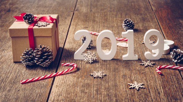 С Новым 2019! (56)