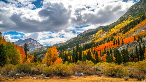 Osen-les-nebo-oblaka-gory-zolotaia-osen-sklon-eli