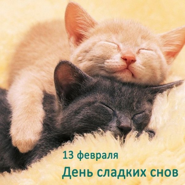 file_92746584