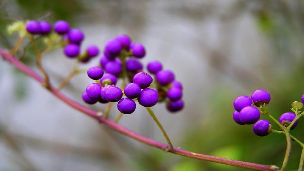 file_66964160
