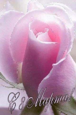 file_46015271