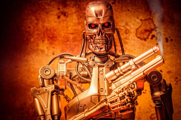 The Terminator