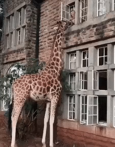 Здрасьте вам