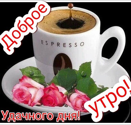 KQ6qwxj5Hrk